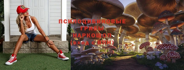 прущая мука Абдулино